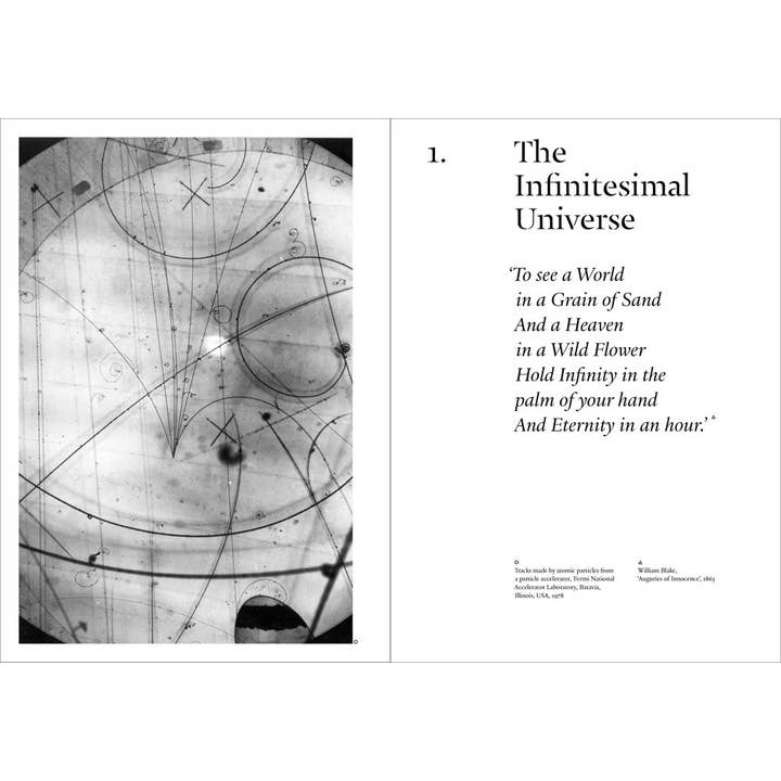 W. W. Norton - Wholesale Body, Mind & Spirit - The Cosmic Dance4