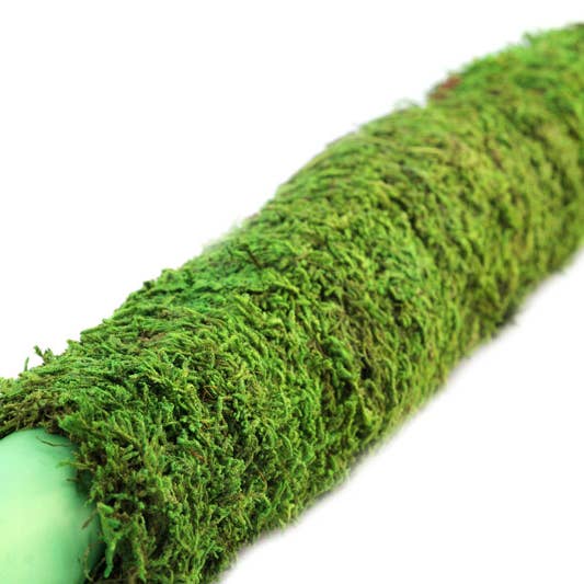 SuperMoss - Wholesale Trellis - SuperMoss Moss Poles