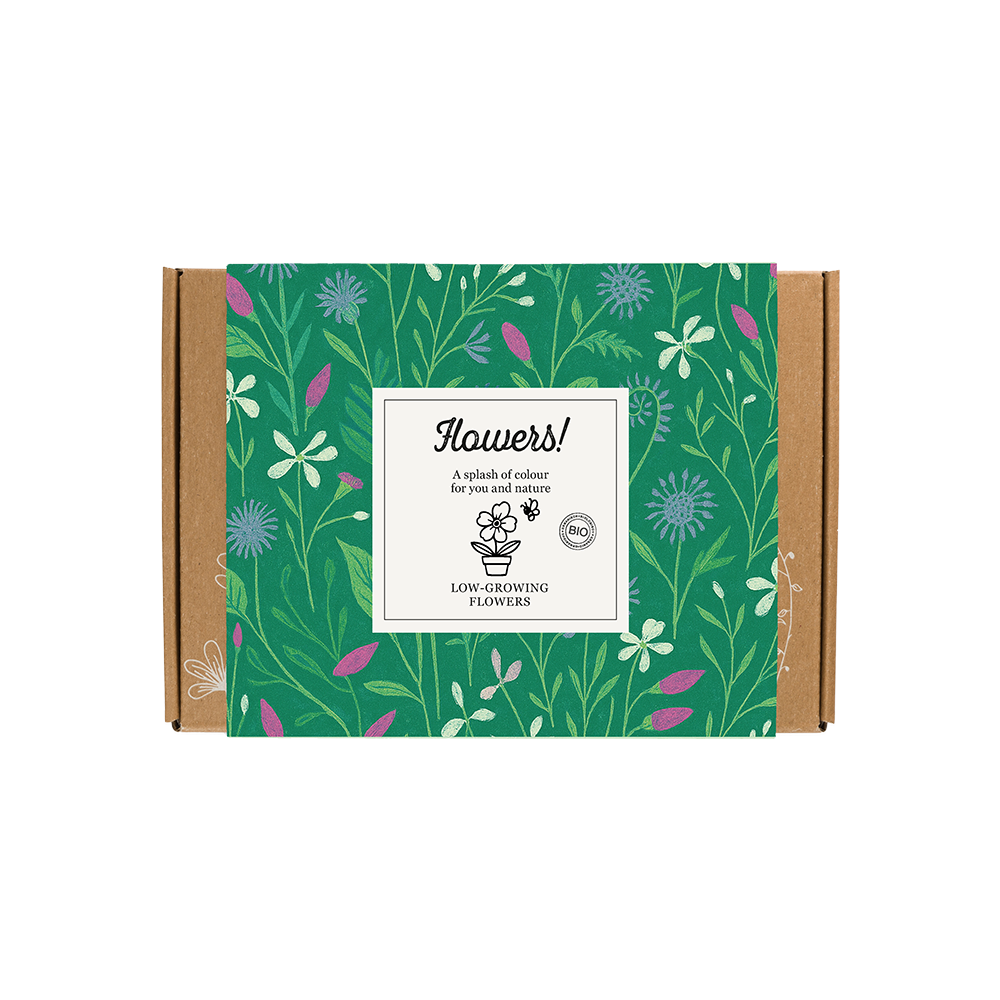 Blossombs - Wholesale Plant Seeds - Gift Box Small “Flowers” – Low-Growing Mix (7 Seed Bombs)0