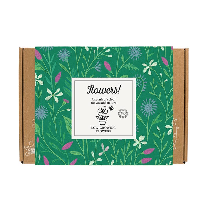 Gift Box Small “Flowers” – Low-Growing Mix (7 Seed Bombs) for wholesale by Blossombs
