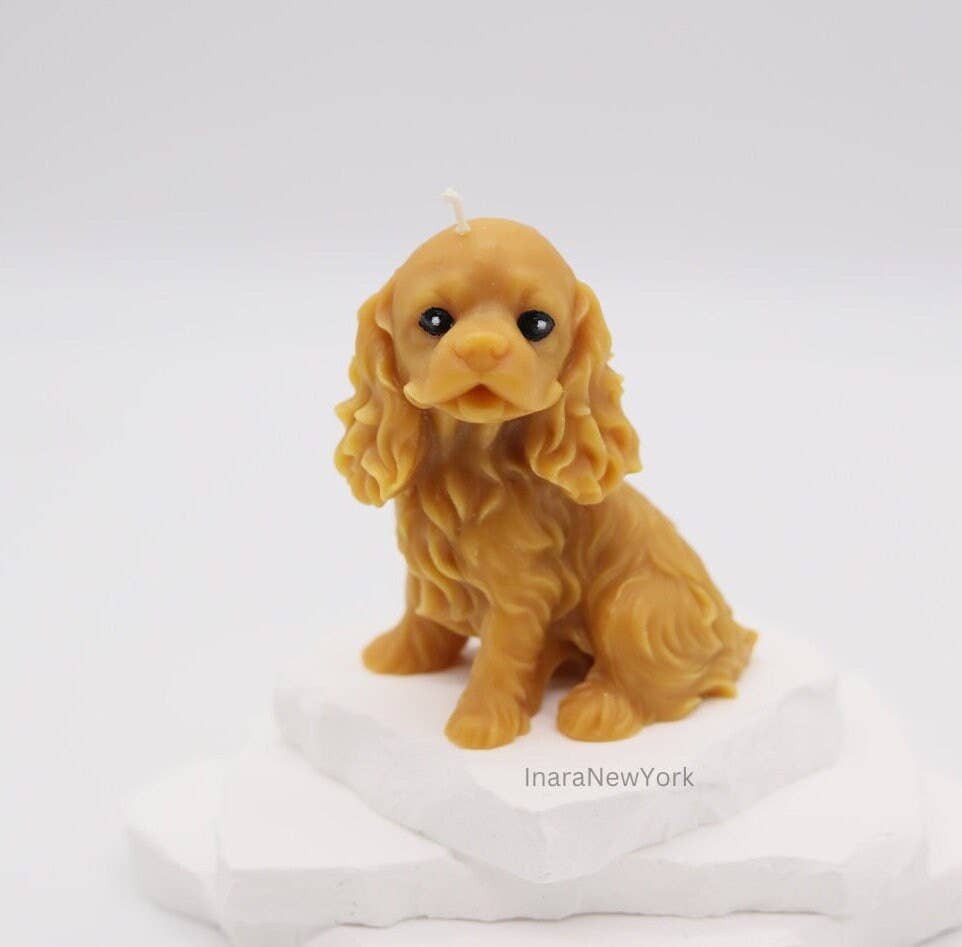 Inara New York - Wholesale Grappige kaars - Cocker Spaniël | Ierse setter hond Kaars0