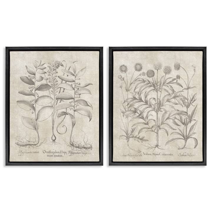 Mjuk botanisk studie flytande inramad konst för wholesale av Stupell Industries