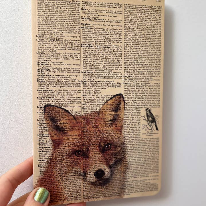 We Act Company - Vendita all'ingrosso Quaderni - Quaderno Red Fox con Copertina Art Dizionario - (WAN25401)4