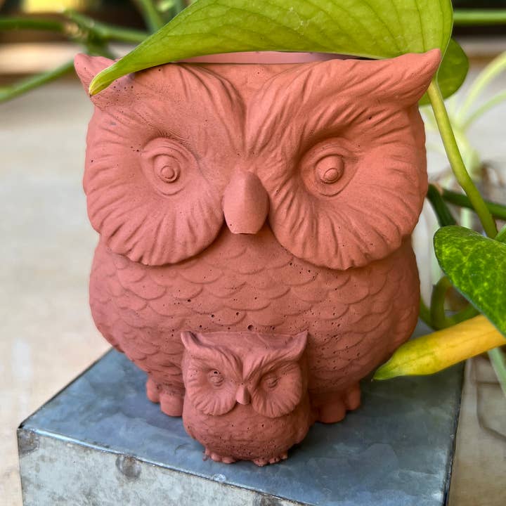 Vaso in cemento Owl per la vendita all'ingrosso da parte di Sunny Way Products