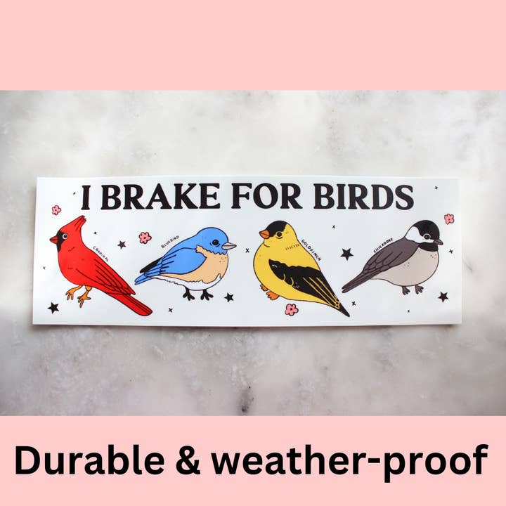 I Brake For Birds Bumper Sticker for wholesale by Tender Ghost