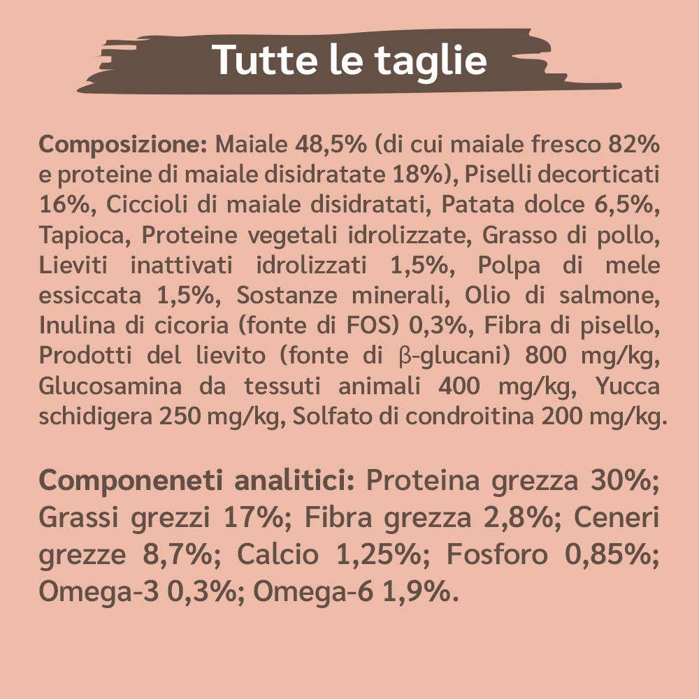 Pettech S.r.l. - Wholesale Pet Treats - Dog - Kibble with Fresh Pork, Potatoes, and Peas for Puppy2