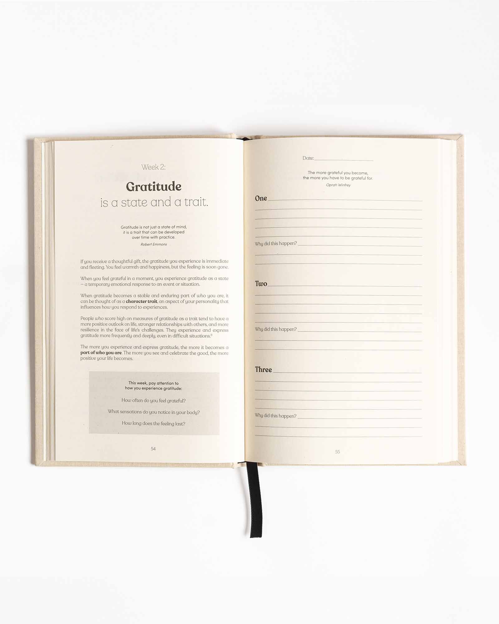 Good Memories Co - Wholesale Journal/Diary - Three Good Things Journal - Memories, Gratitude, Connection11