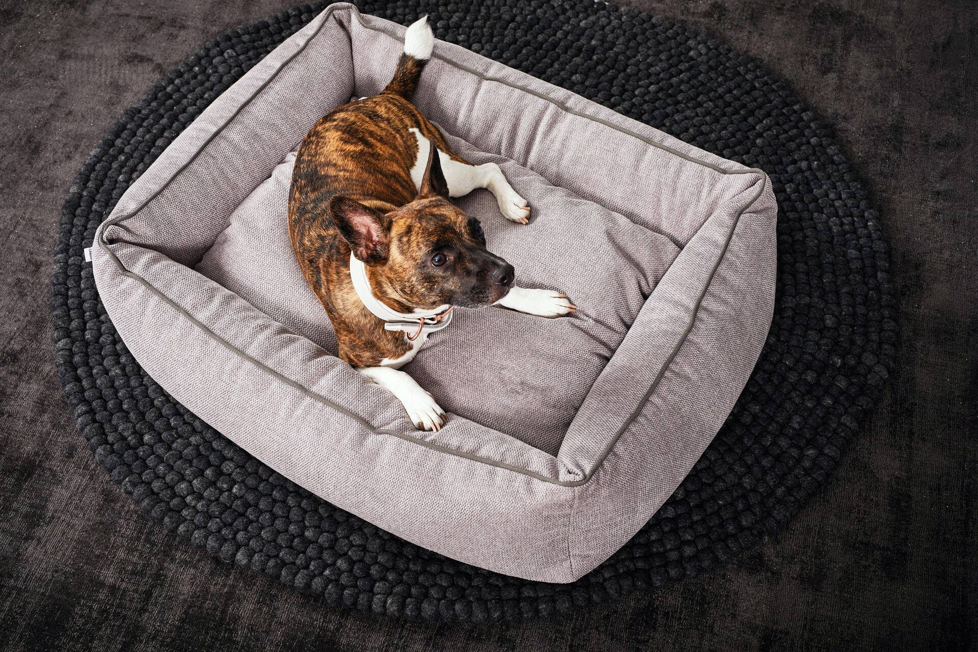 LABONI - Volentis GmbH – wholesale Pet bed – Dog – DOGGY DOG11