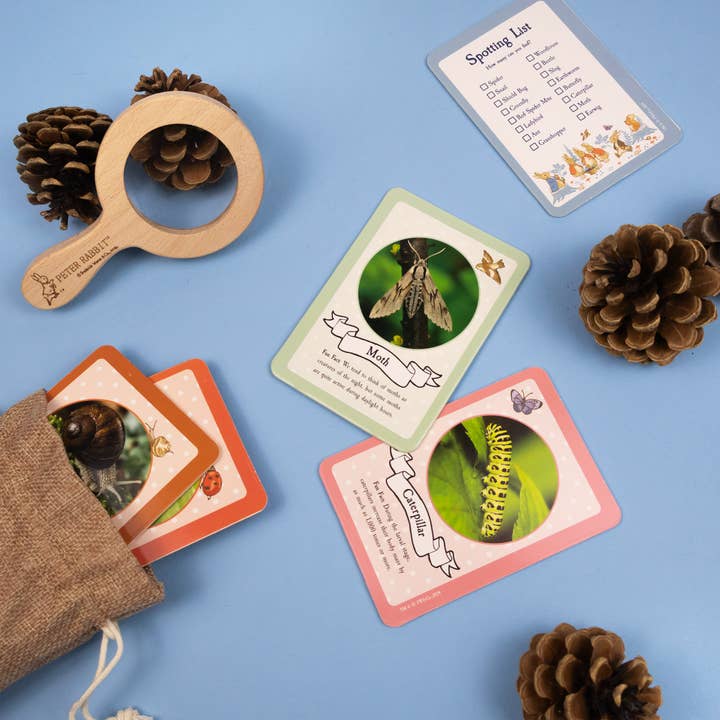Robert Frederick Ltd - Wholesale Toy set – Kids - Peter Rabbit Bug Spotter Activity Set6