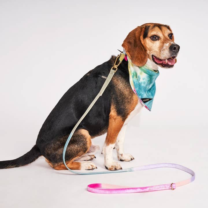 Found My Animal - Wholesale Pet Leash - Dog - Found My Animal Jolie Webbing Cotton Dog Leash, 5 Ft2