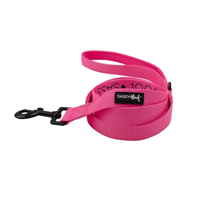 Dog Leash - Neon Pink for wholesale by SASSY WOOF
