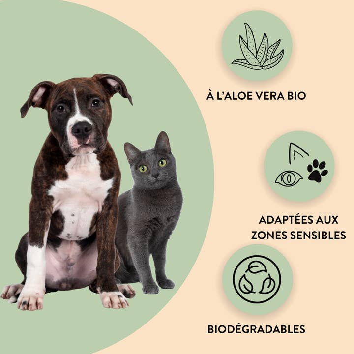 Hello Jack - Wholesale Pet Grooming Aid - Dog - Biodegradable Aloe Vera Wipes for Dogs and Cats