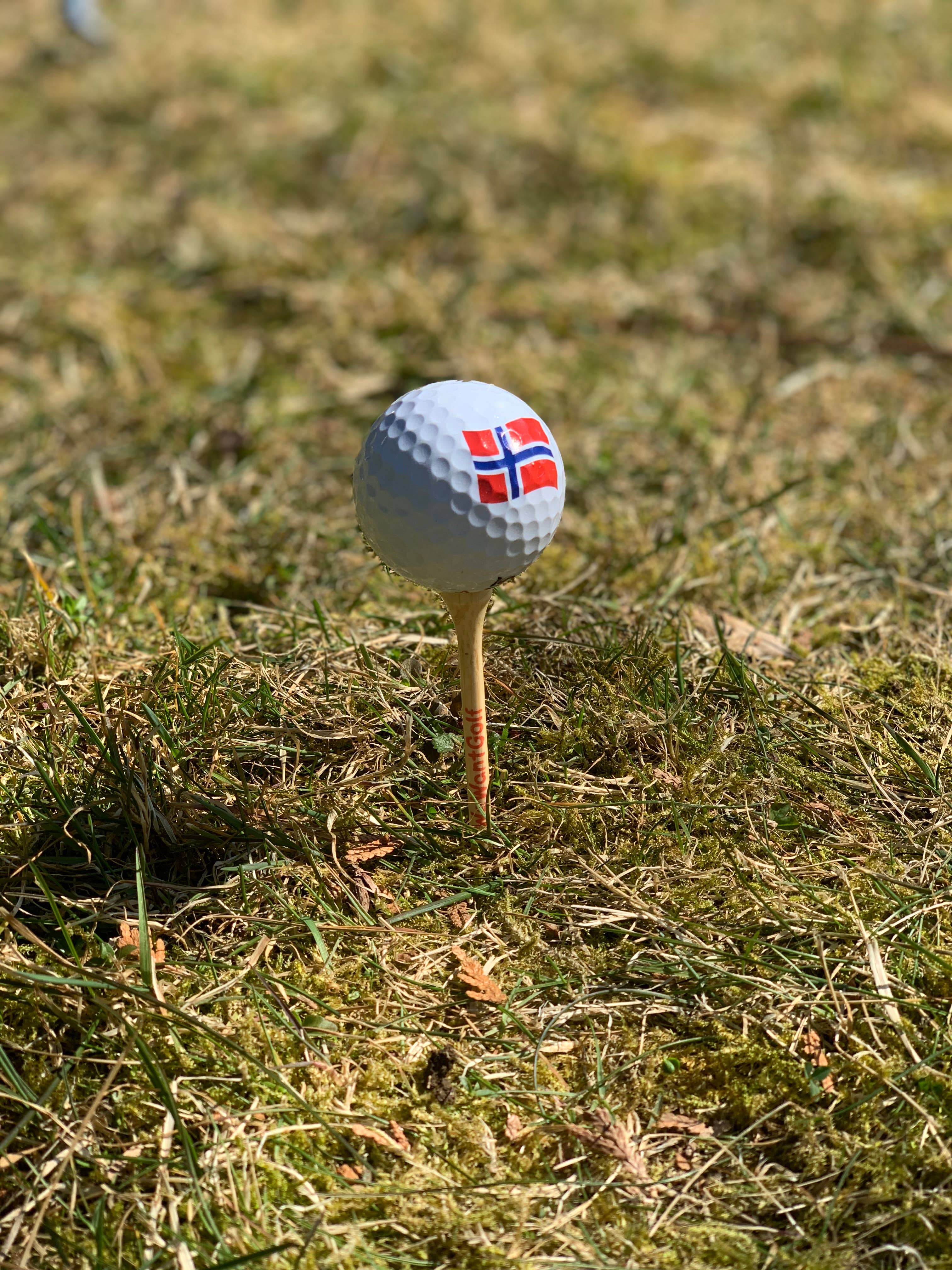 WeWantGolf - Vente Accessoires de sport - Paquet de 20 EcoTees