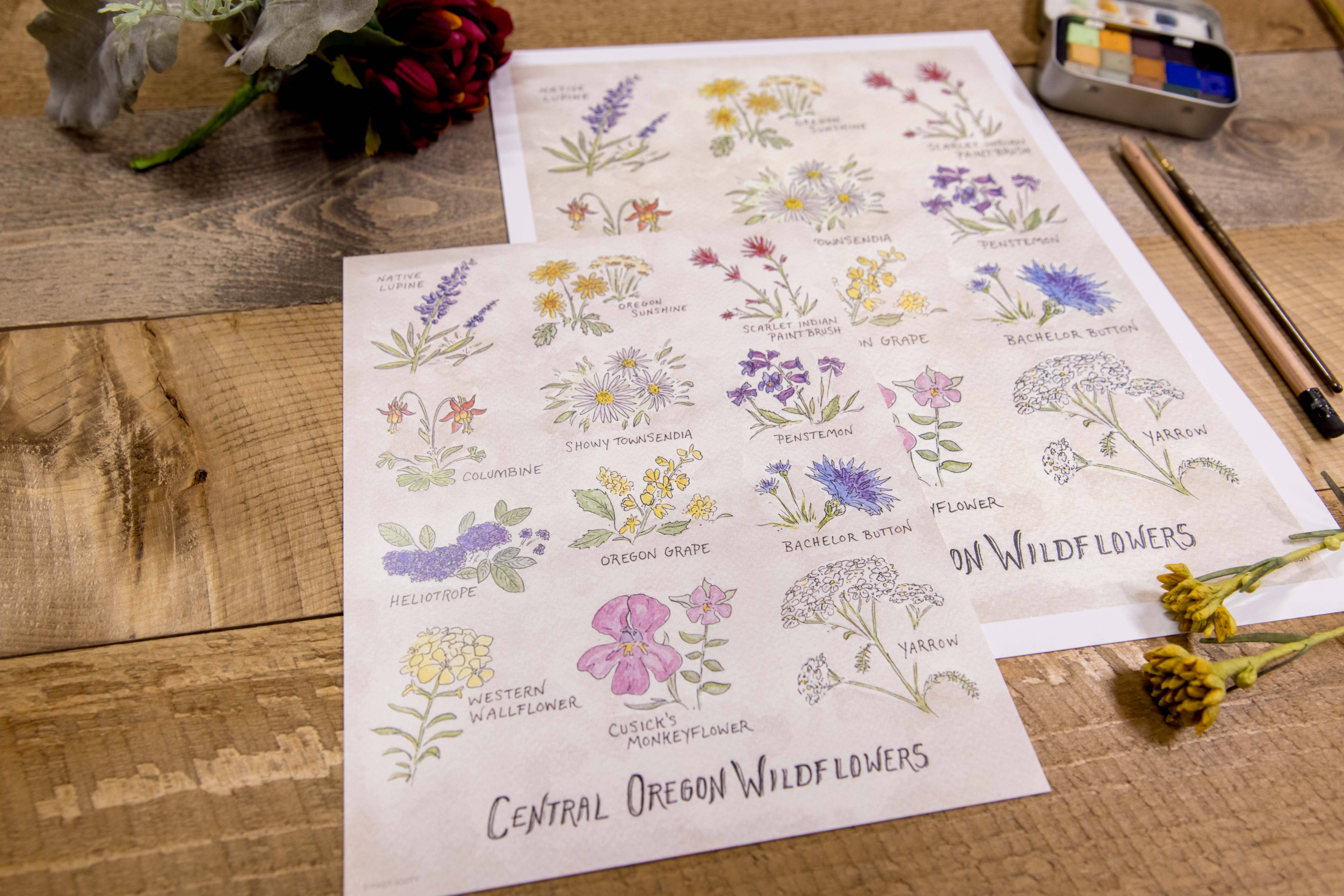 Hiker Booty – wholesale Art print – Central Oregon Wildflowers 8"x10" Art Print3