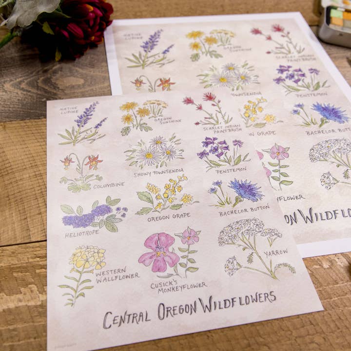 Hiker Booty – wholesale Art print – Central Oregon Wildflowers 8"x10" Art Print3