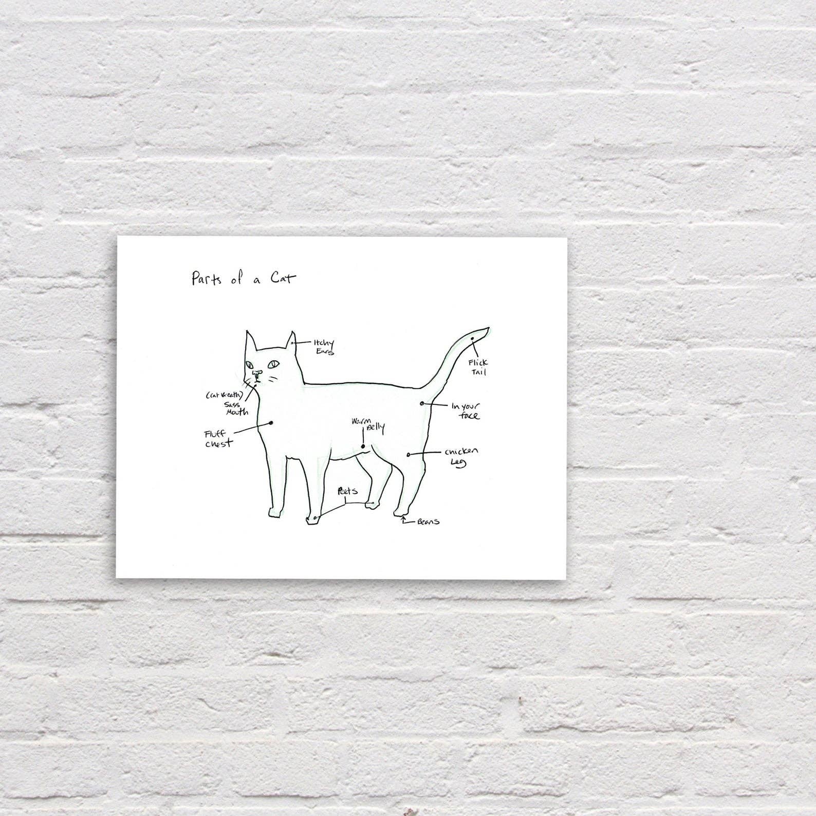 Cat Rocketship - Vente Affiche d'art - Pièces d'une impression Cat 5x73