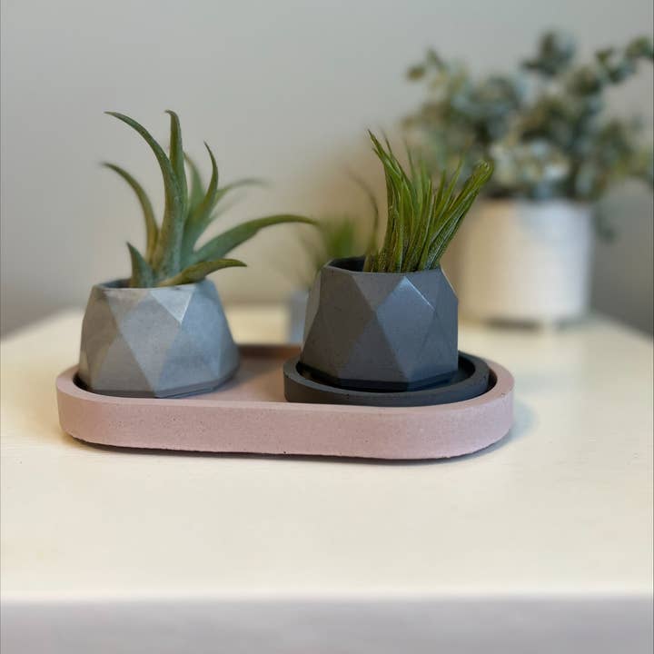 Joyful Lotus - Wholesale Plant Pot - Geometric concrete vessel