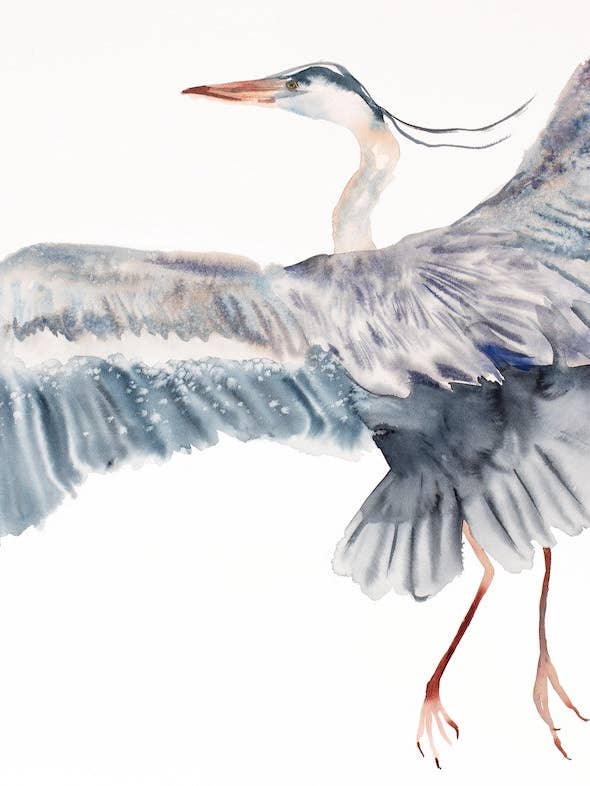 Airone in Volo n. 2 per la vendita all'ingrosso da parte di Elizabeth Becker