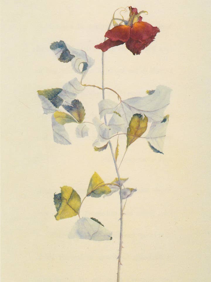 "Single Women" museum quality limited edition prints for wholesale by Terra Fine Art