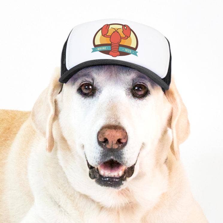 PupLid - Wholesale Pet Hat - Dog - Lobster Standard or Namedrop | Trucker Hat for Dogs28