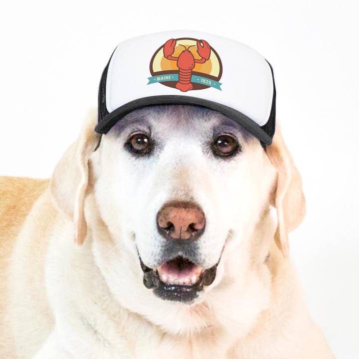 PupLid - Wholesale Pet Hat - Dog - Lobster Standard or Namedrop | Trucker Hat for Dogs28