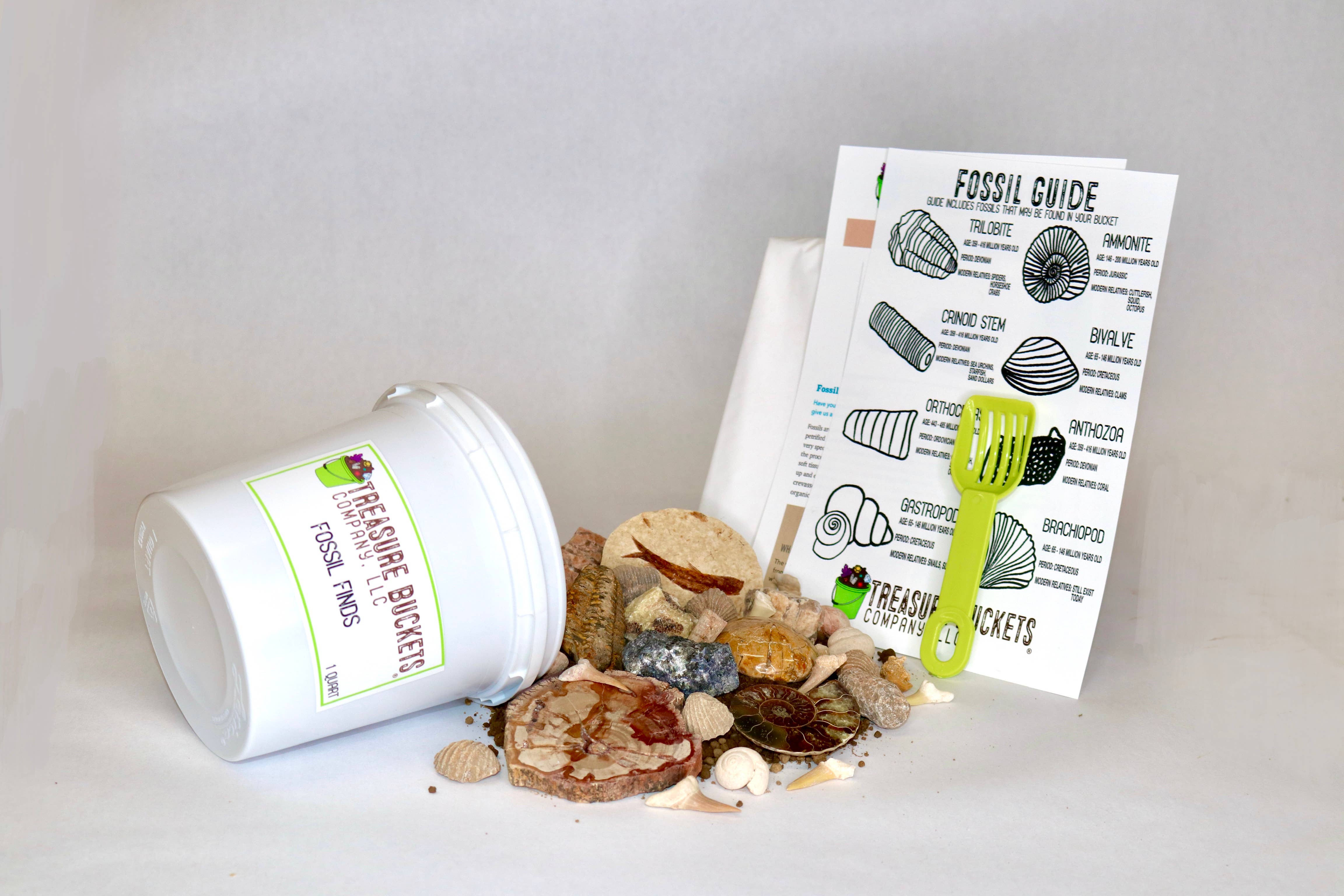 Treasure Buckets Co., LLC - Vente Kit de bricolage – enfant - Fossil Finds Gem Mining Bucket Kit d'une pinte - Gemmes3
