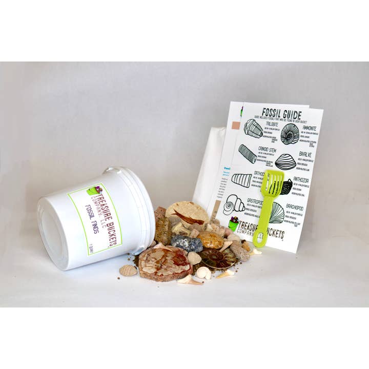 Treasure Buckets Co., LLC - Vente Kit de bricolage – enfant - Fossil Finds Gem Mining Bucket Kit d'une pinte - Gemmes3