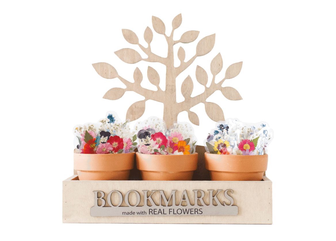 Sunnie Lane - Wholesale Dried/Pressed Flowers - Real Flower Gift & Souvenir - Custom Gifts7