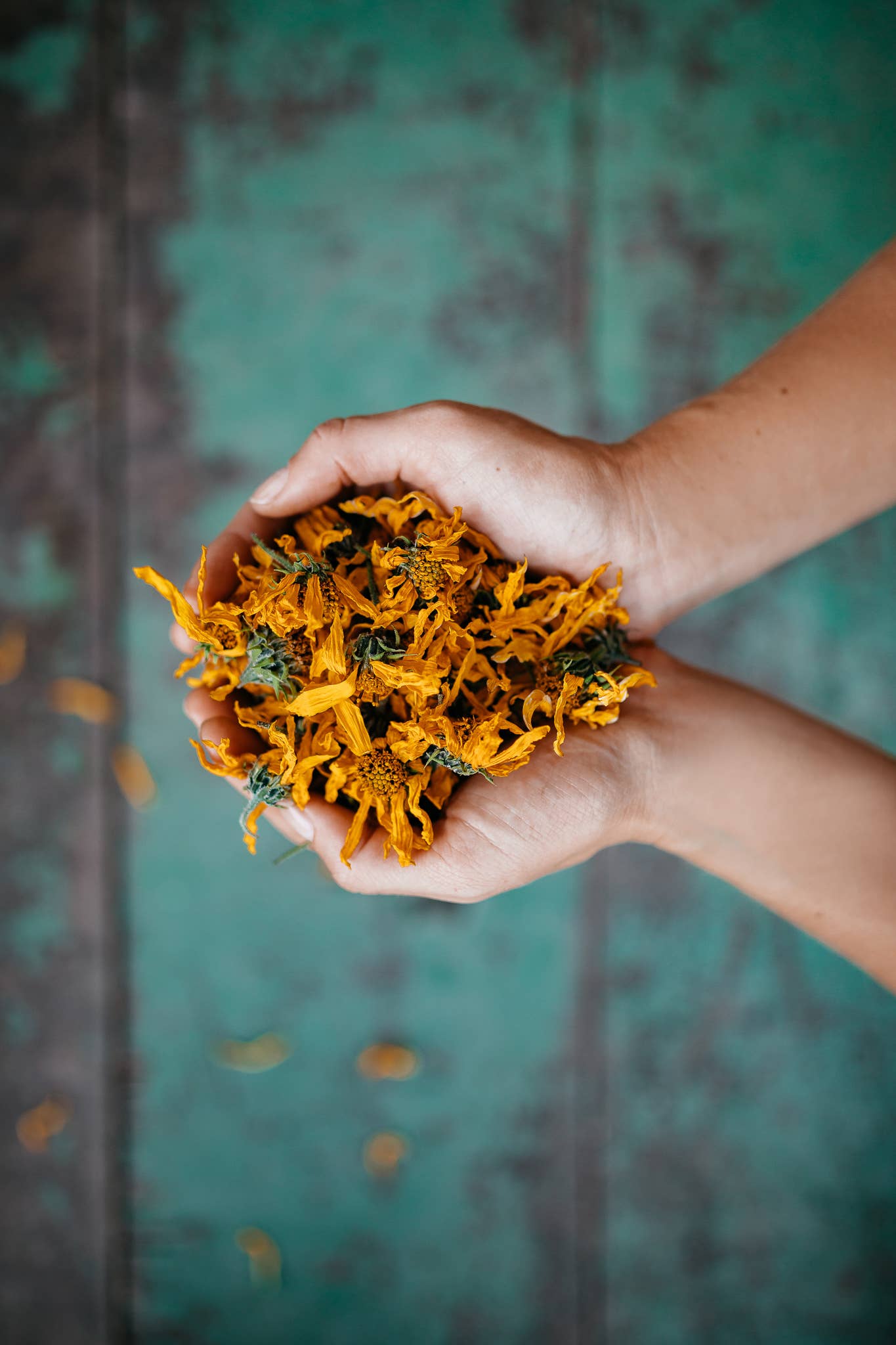 Plūkt – Großhandel Gesundheits-/Entgiftungstee – Topinamburblütentee – zertifizierter Bio-Kräutertee7