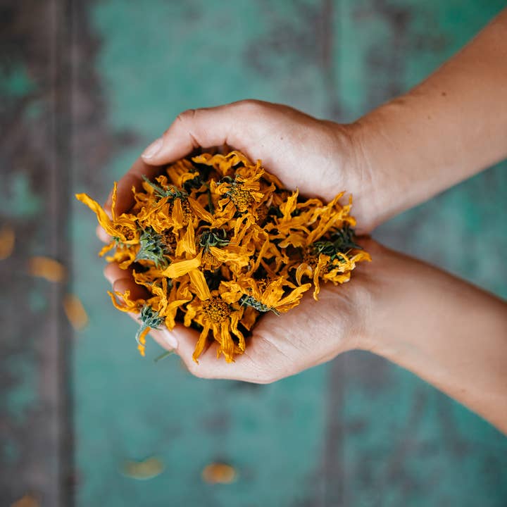 Plūkt - Venta al por mayor Tés saludables/desintoxicantes - Jerusalem Alcachofa Flor Té - Certificado de hierbas orgánicas7