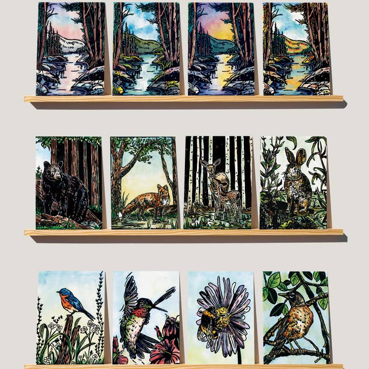 bclockerart - Wholesale Everyday Greeting Card - Greeting Cards of nature, birds, and wildlife.