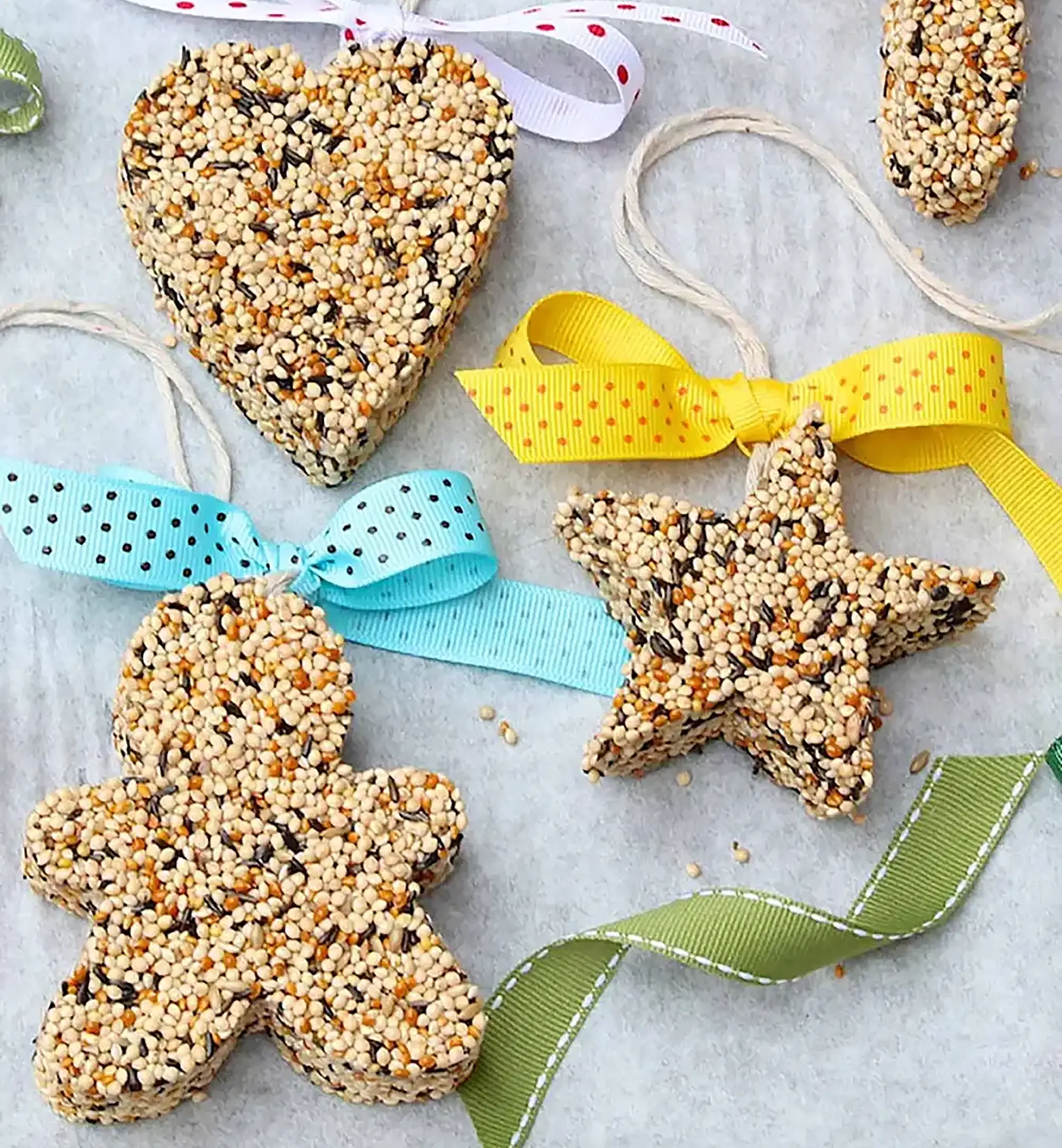 Mr. Sogs - Wholesale DIY Craft Kit - DIY Birdseed Garden Ornament Kit4