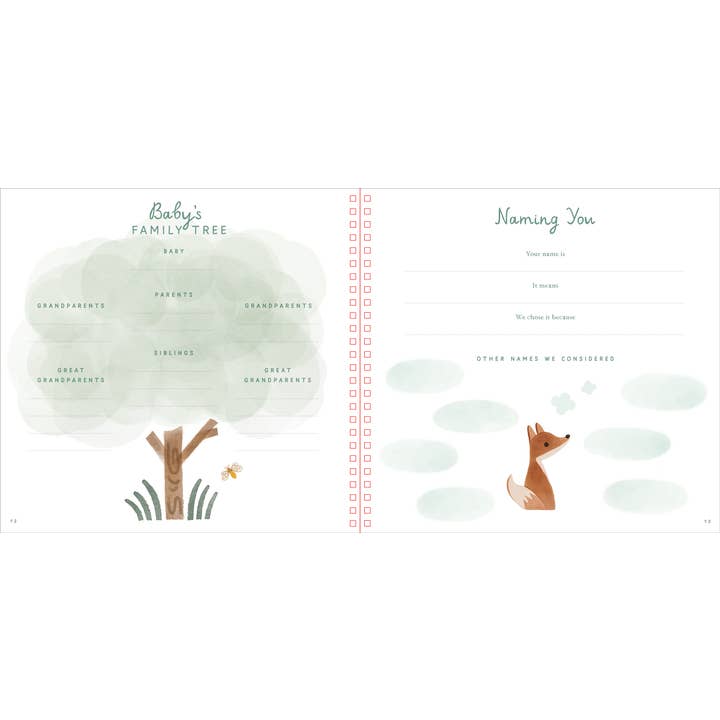 Peter Pauper Press - Wholesale Memory Book - Kids & Baby - Baby's First Years: A Modern Memory Book with Keepsake Box