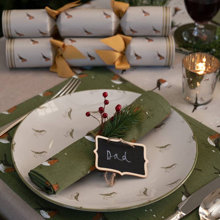 Sophie Allport - Wholesale Christmas Decoration - Robin Christmas Crackers (Set of 6)1