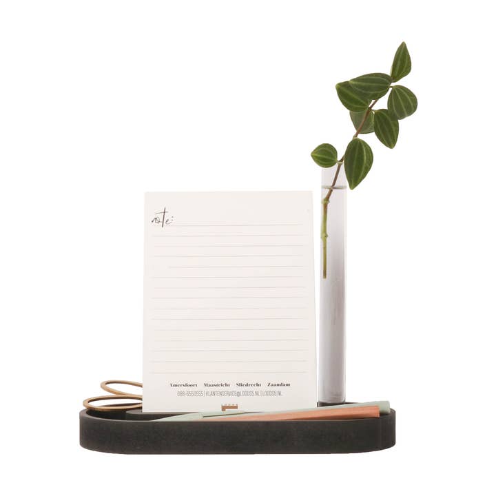 Pen Holder for wholesale by By WOOM