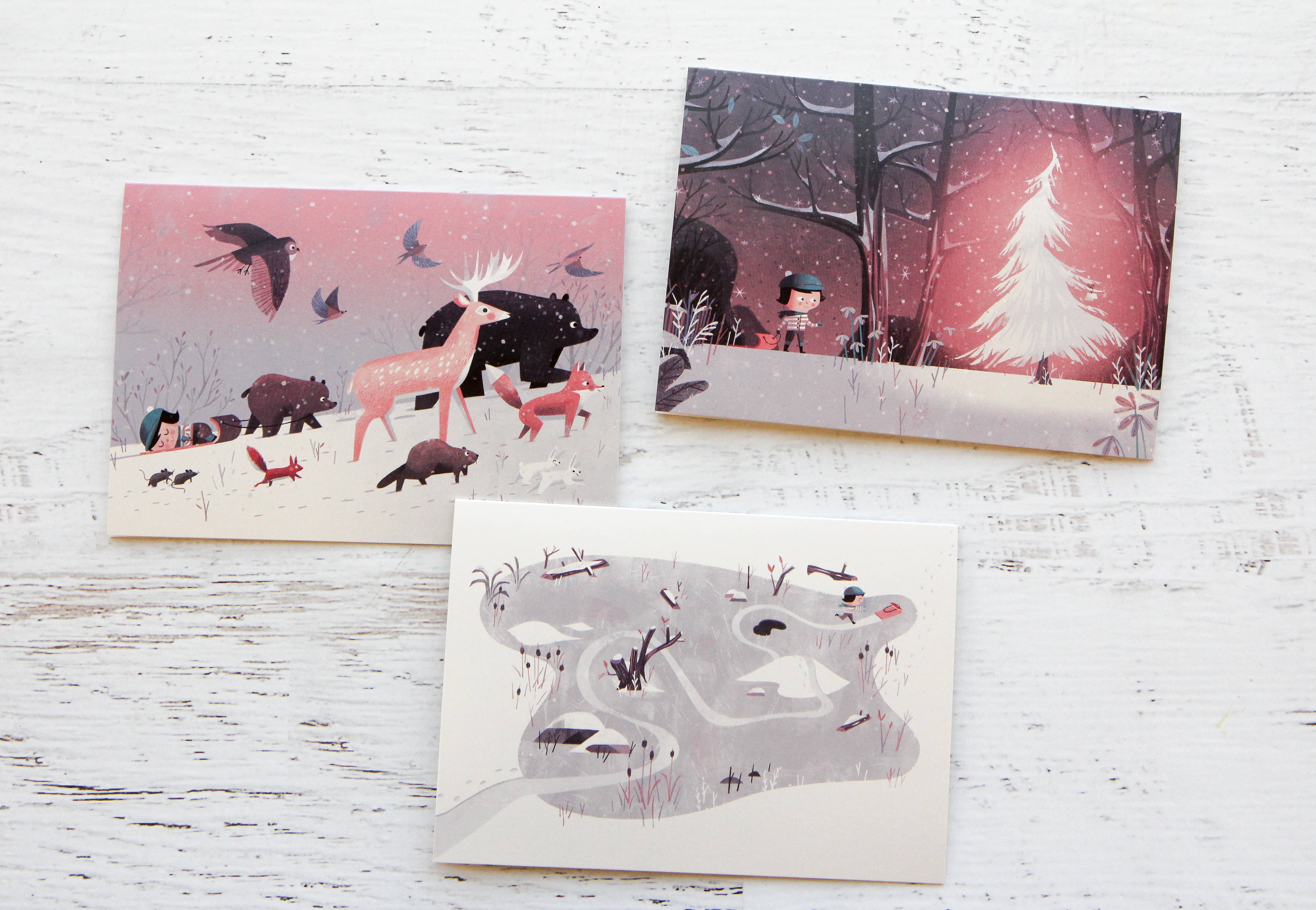 Chronicle Books - Wholesale Preschool Book (3-5) - The Wish Tree9