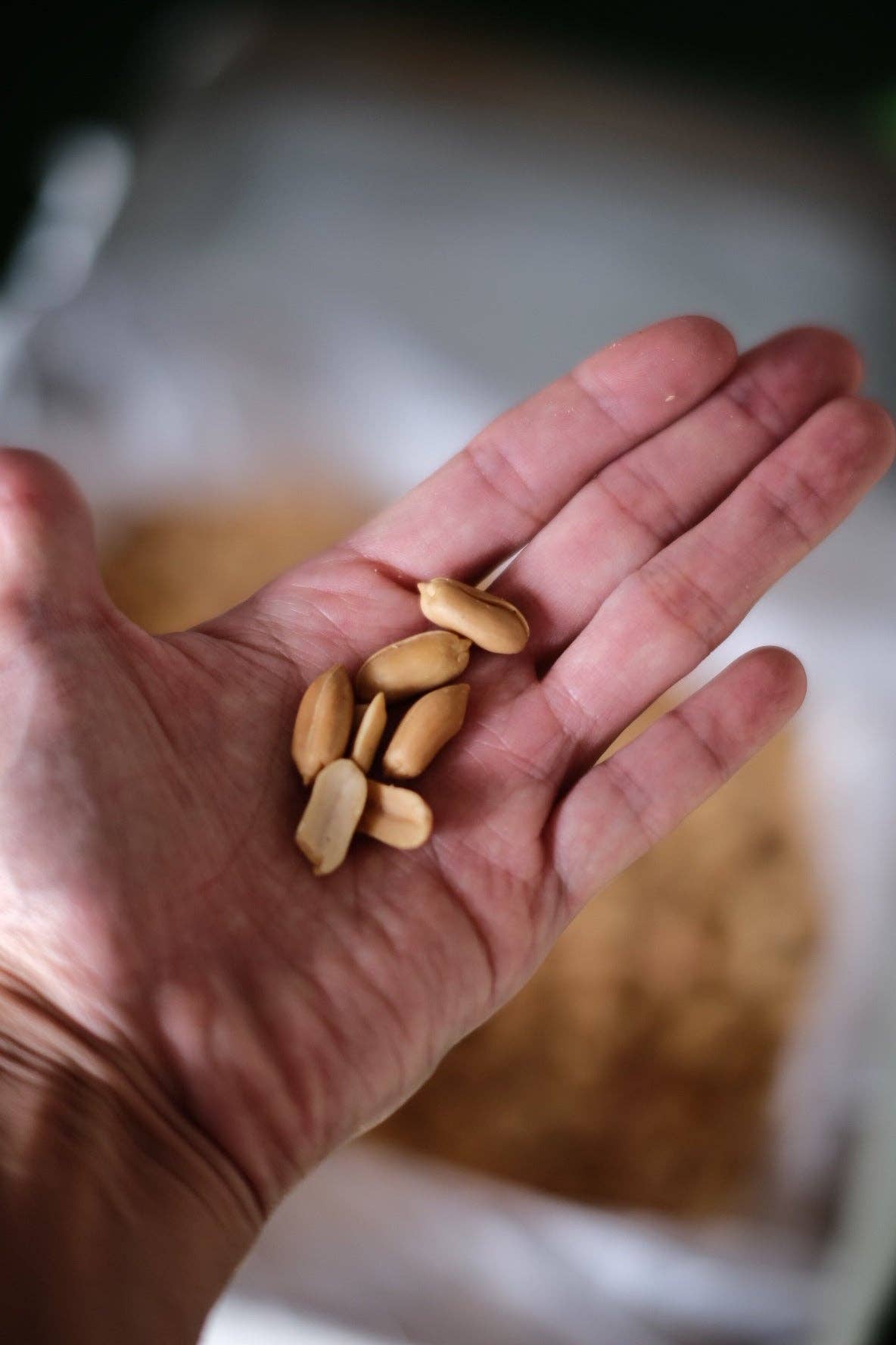 HAPPY NUTS DAY_Japan - Wholesale Nut Butter - Unsweetened Peanut Butter 8.5oz2