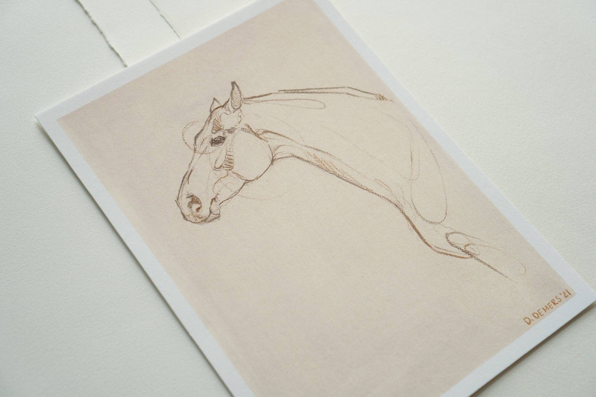 Danielle Demers Studio - Wholesale Art Print - Horse Drawing, "Lines – No. 17," Giclée Print on Paper1