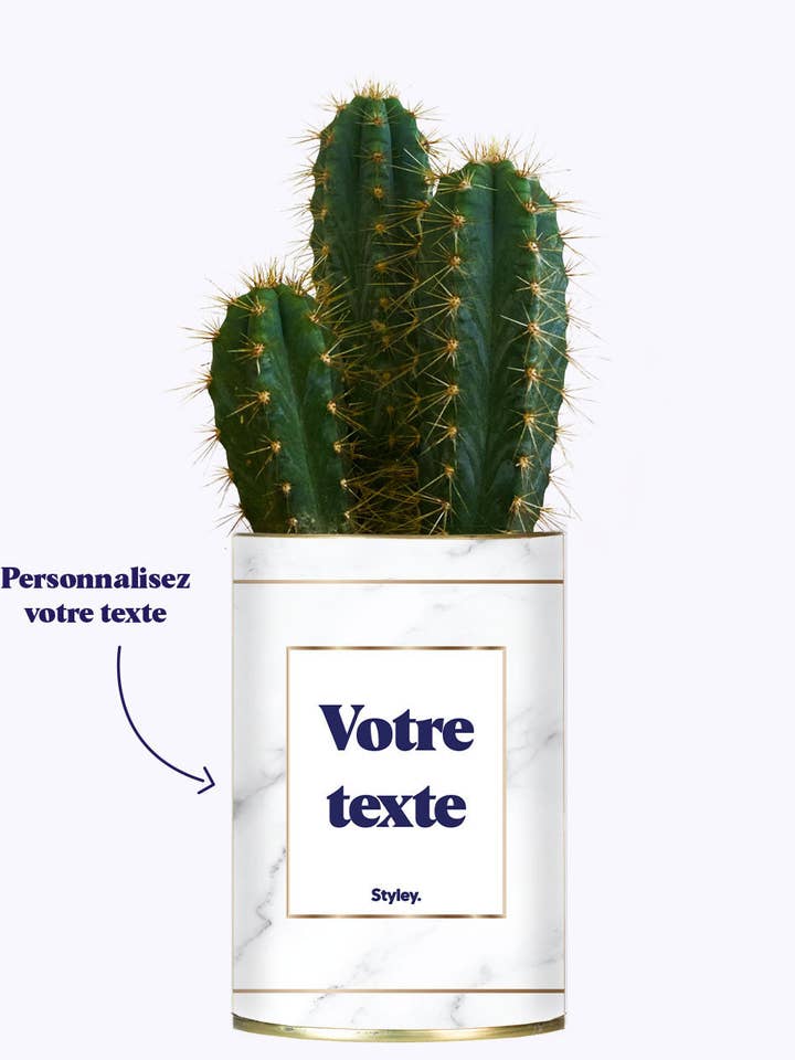 Cactus Marmor - Tilpasselig for engroshandel hos Styley