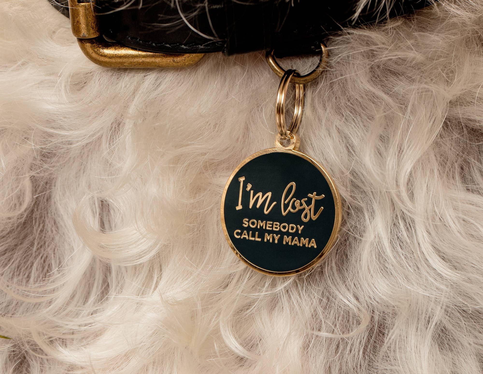 Two Tails Pet Company - Wholesale Pet Identification Tag - Dog - I'm Lost, Somebody Call My Mama Pet ID Tag3