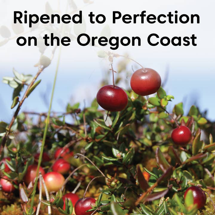 Wilderness Poets - Wholesale Dried/Dehydrated Fruit - Oregon Cranberries8