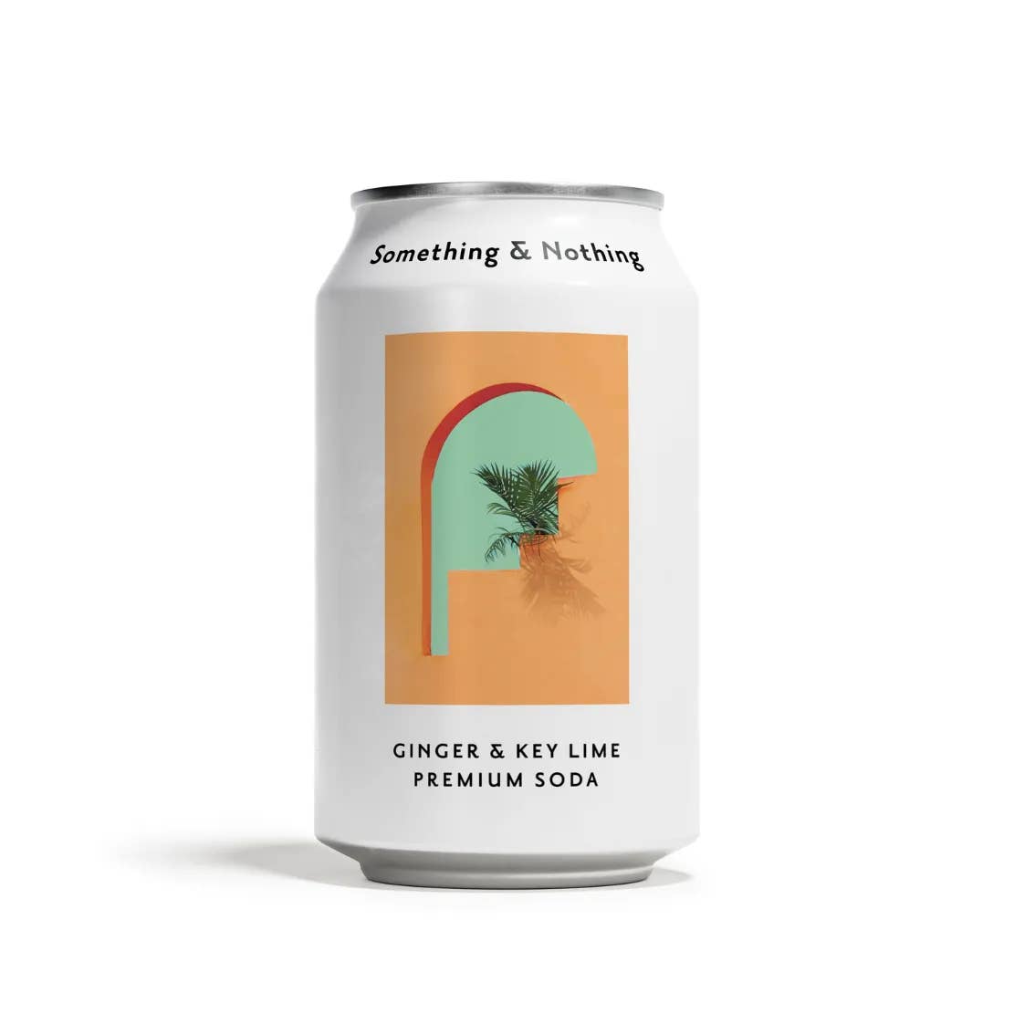 Something & Nothing - Wholesale Soda/carbonated drink - Ginger & Key Lime Premium Soda (Case of 12)