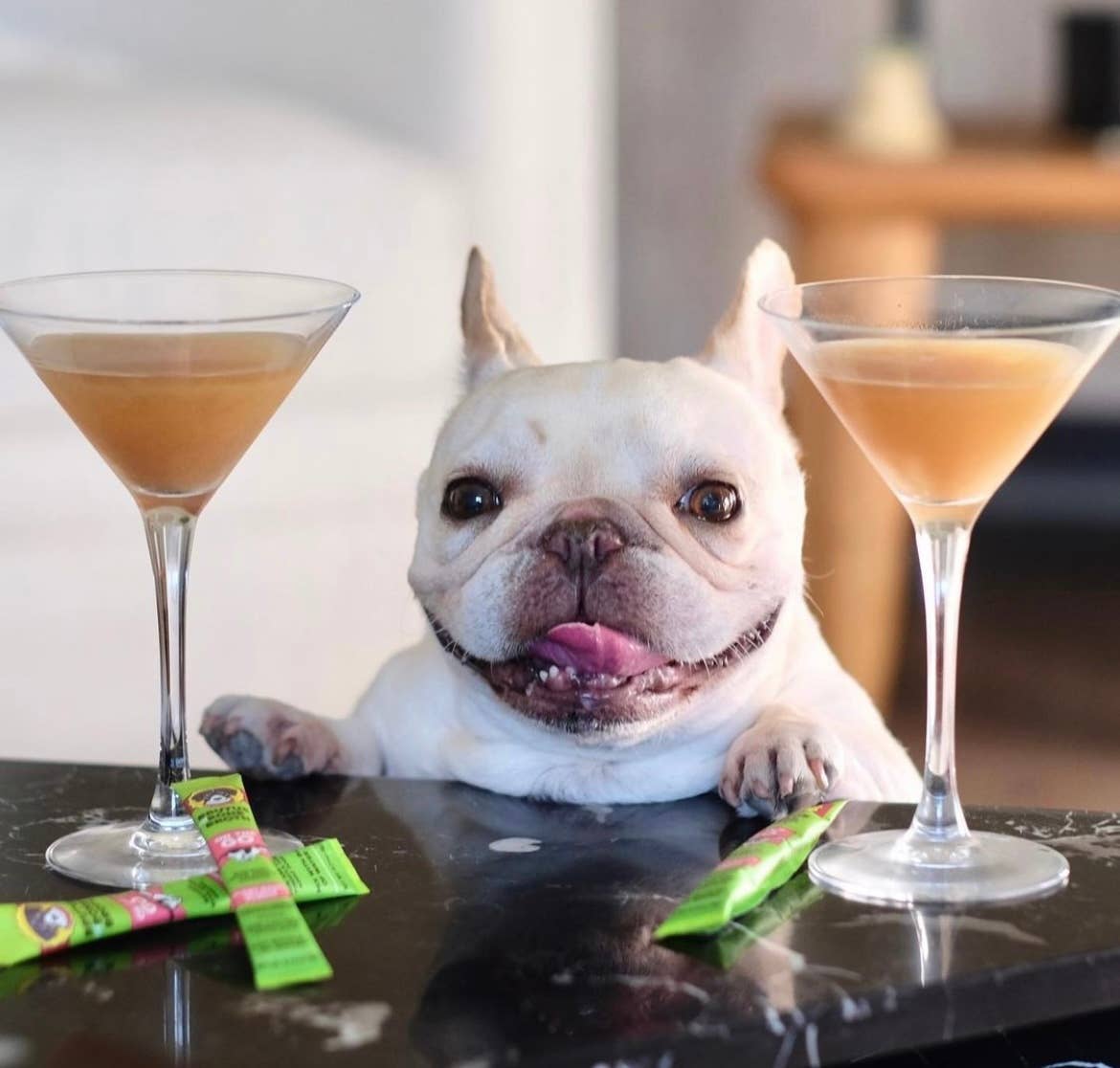 Brutus Broth - Wholesale Pet Food - Dog - Brutus Broth Instant Vegetable (Salmon Flavor)3