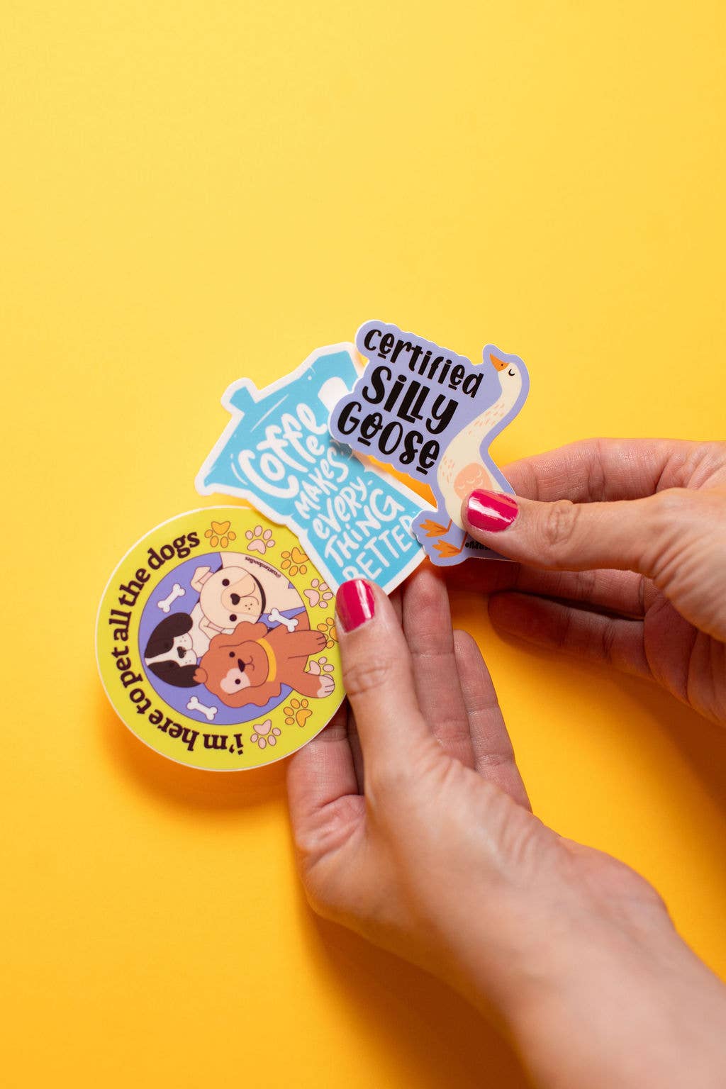 NatterDoodle – wholesale Sticker – Certified Silly Goose Vinyl Waterproof Funny Sticker1