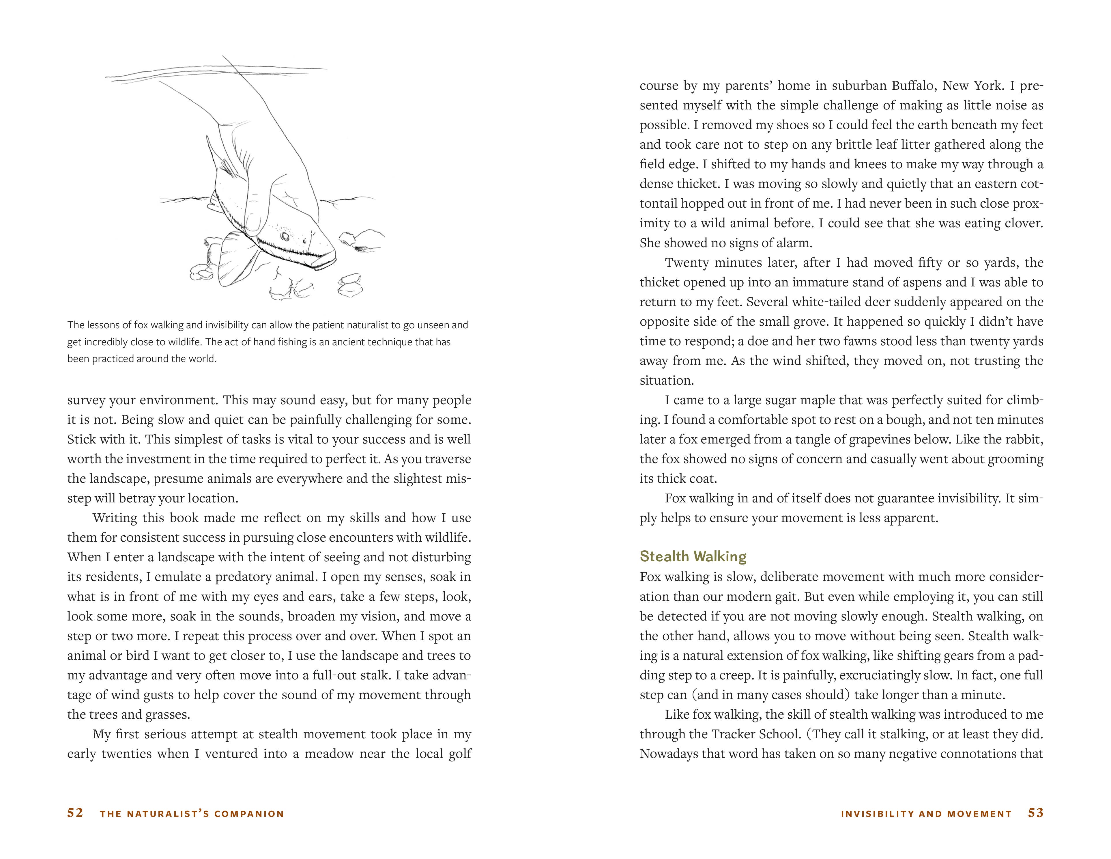 Mountaineers Books - Wholesale Nature & Outdoors Book - The Naturalist's Companion2