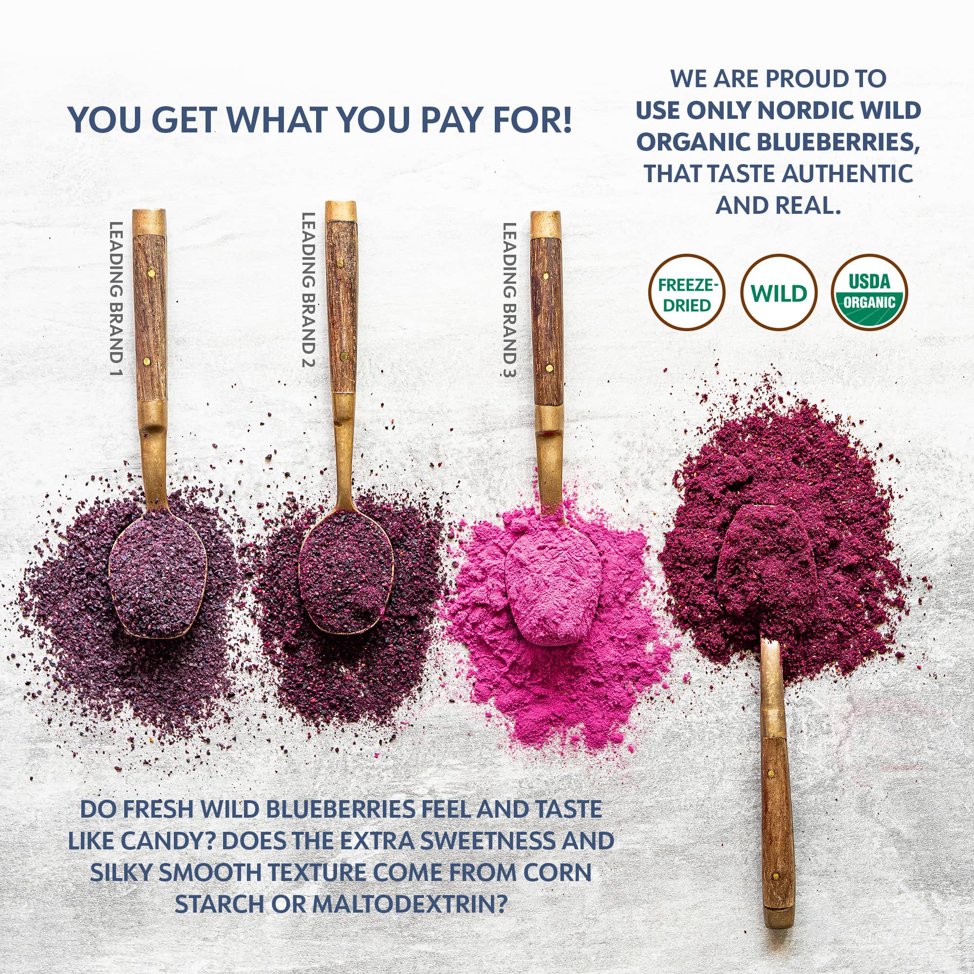 LOOV Organic Superfoods - Wholesale Protein/Superfood Powder - Freeze-Dried Organic Wild Blueberry Powder 6 oz8