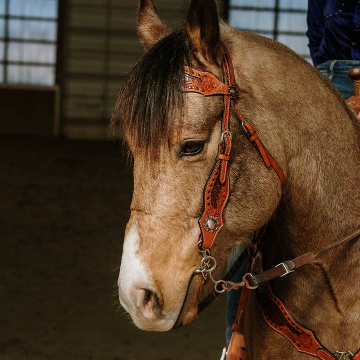 Schulz Equine - Wholesale Horseback Riding Gear - Wyatt Earp Headstall and Breast Collar Set