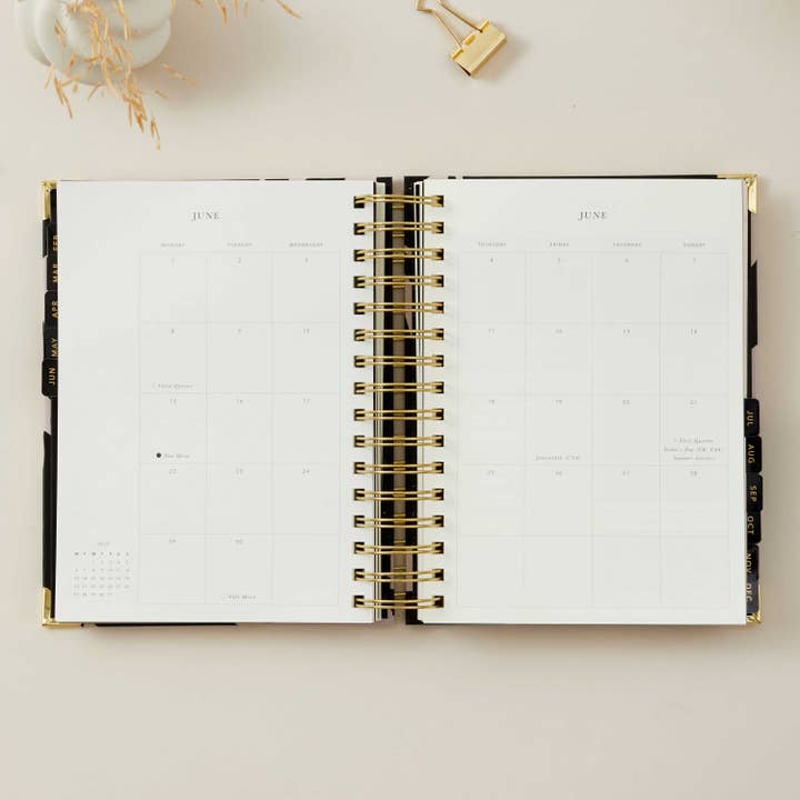 Blush And Gold - Wholesale Planner - 2026 Daily Planner - Flora II7