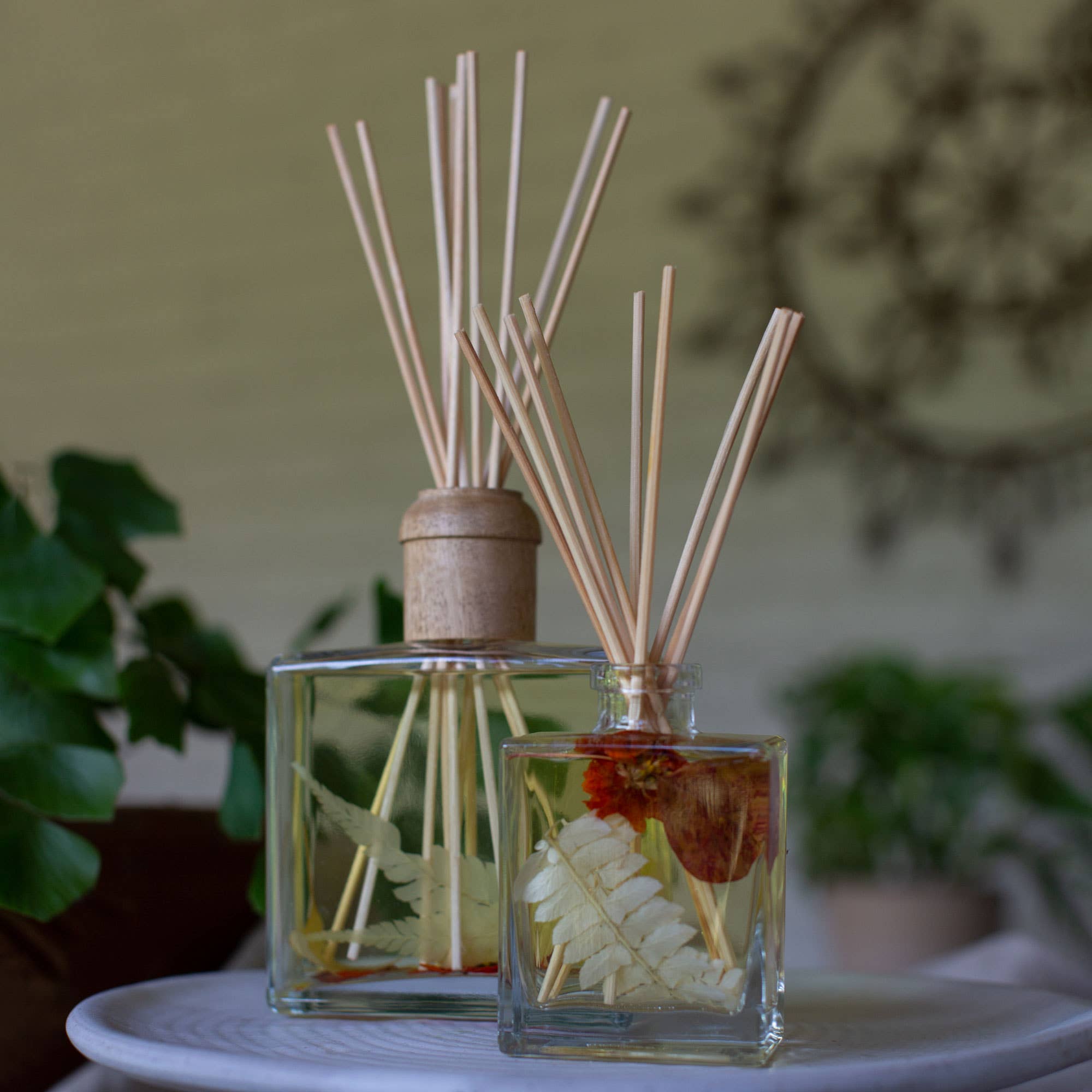 Rosy Rings - Wholesale Reed Diffuser - Honey Tobacco 13 oz Botanical Diffuser4