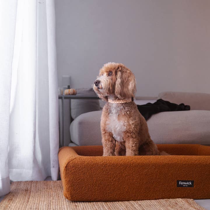 Fenwick Pet Co. – wholesale Pet bed – Dog – Teddy Dog Bed1